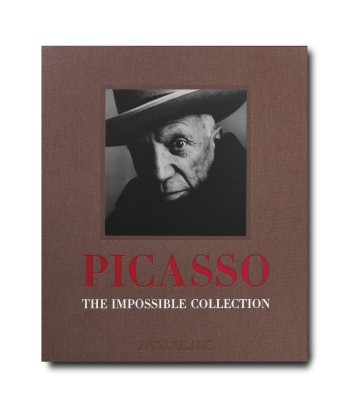 Buch Pablo Picasso: Unmögliche Sammlung destockage