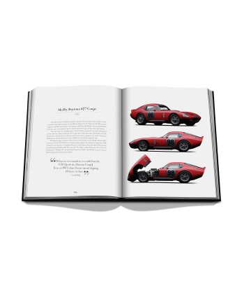 Buch Iconic: Kunst, Design, Werbung und das Automobil prix pour 