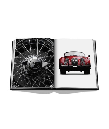 Buch Iconic: Kunst, Design, Werbung und das Automobil prix pour 