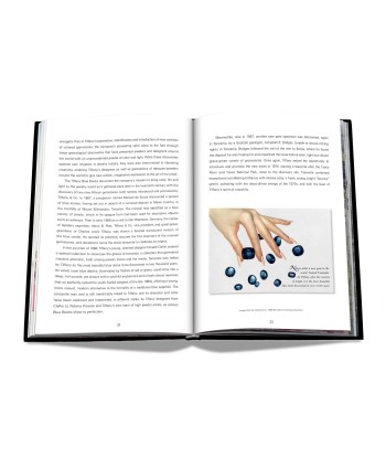 Buch Tiffany &amp Co. Vision and Virtuosity (Icon Edition) À commander