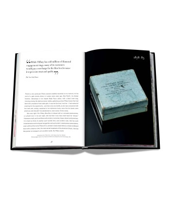 Buch Tiffany &amp Co. Vision and Virtuosity (Icon Edition) À commander