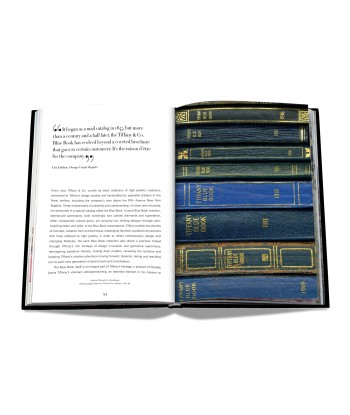 Buch Tiffany &amp Co. Vision and Virtuosity (Icon Edition) À commander