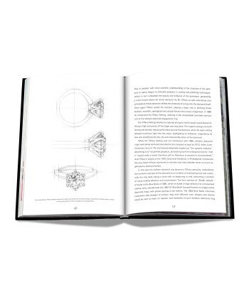 Buch Tiffany &amp Co. Vision and Virtuosity (Icon Edition) À commander