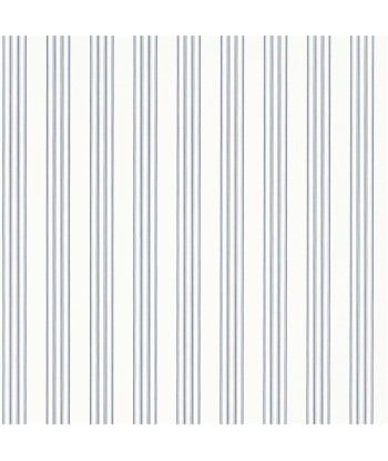 RL Palatine Stripe Tapete – Porzellanblau basket pas cher