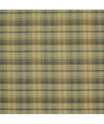 RL Eliott Plaid Lichenstone-Stoff À commander