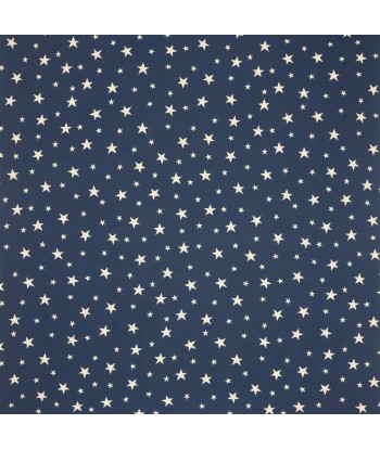 RL Willa Star Jacquard-Stoff – Blau des créatures d'habitude