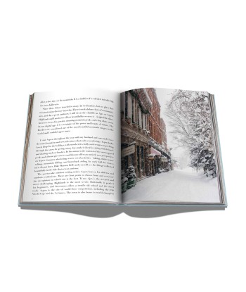 Aspen Style Book pas cher chine