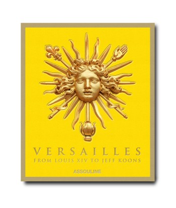 Buch Versailles – Von Ludwig XIV. bis Jeff Koons: Unmögliche Sammlung pas cher