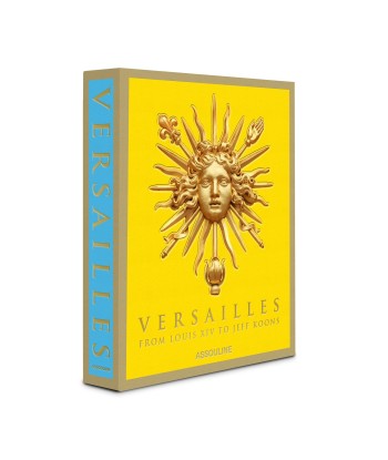 Buch Versailles – Von Ludwig XIV. bis Jeff Koons: Unmögliche Sammlung pas cher