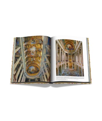 Buch Versailles – Von Ludwig XIV. bis Jeff Koons: Unmögliche Sammlung pas cher