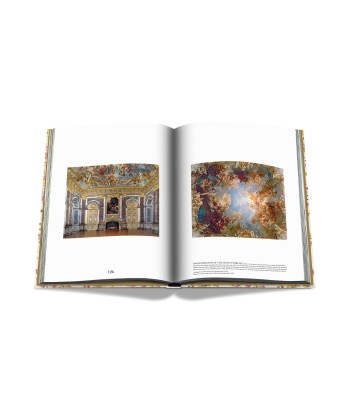 Buch Versailles – Von Ludwig XIV. bis Jeff Koons: Unmögliche Sammlung pas cher