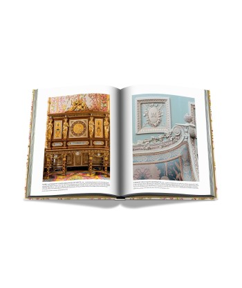 Buch Versailles – Von Ludwig XIV. bis Jeff Koons: Unmögliche Sammlung pas cher